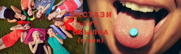 твердый Пересвет