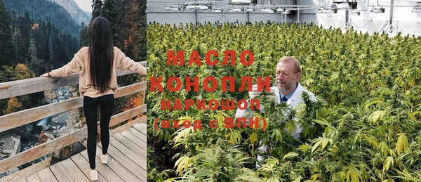 твердый Пересвет