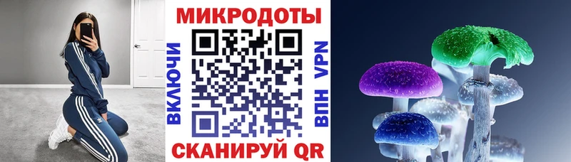 Галлюциногенные грибы прущие грибы  Мурманск 